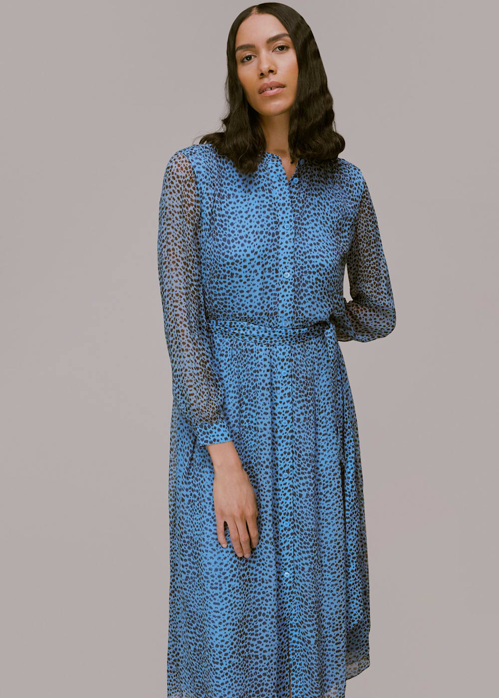 Blue/Multi Gradient Animal Print Dress | WHISTLES | Whistles UK |