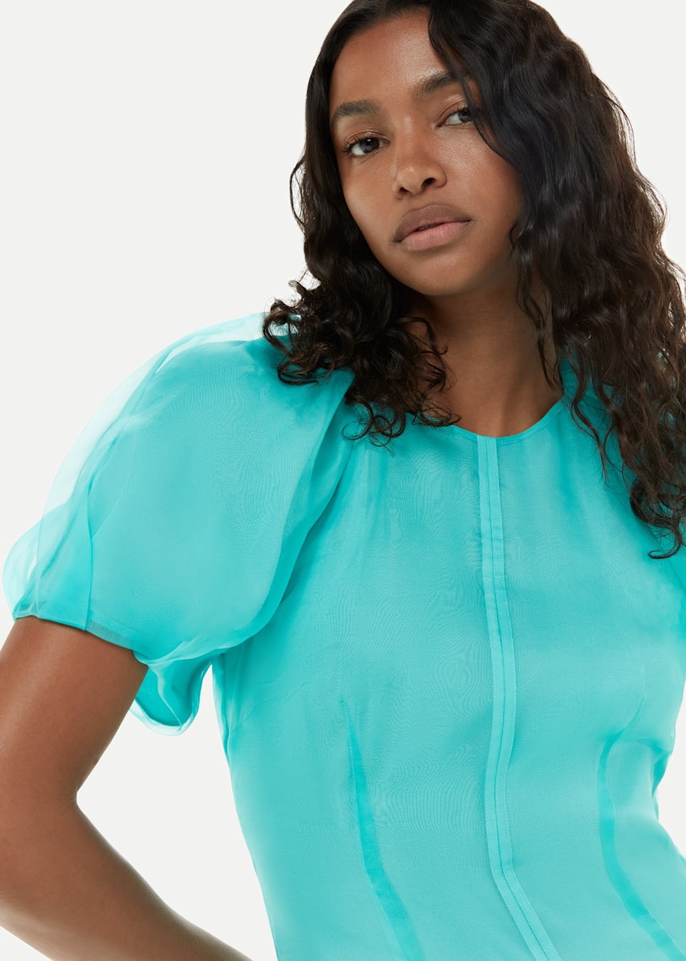 whistles-organza-silk-puff- whistles-organza-silk-puff-
