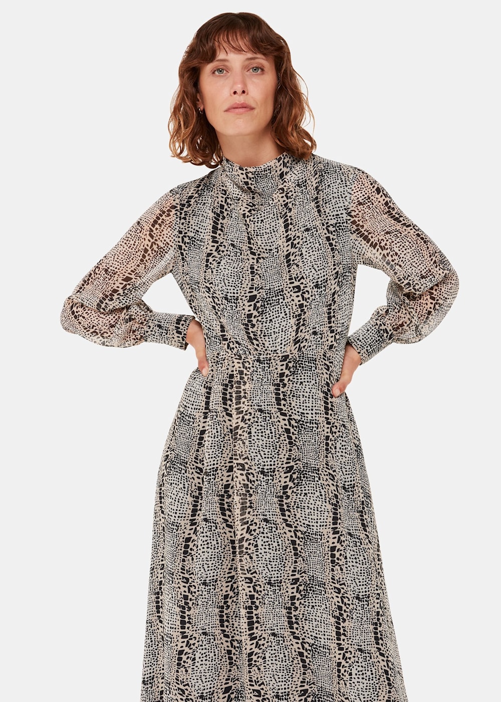 Snake print dress size 18 online