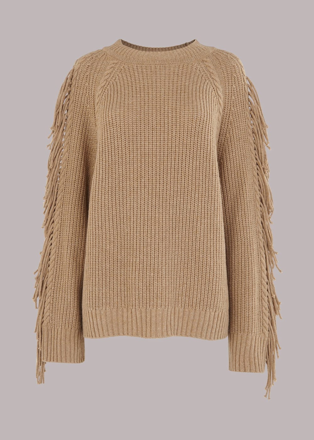 Tassel sleeve jumper 2025