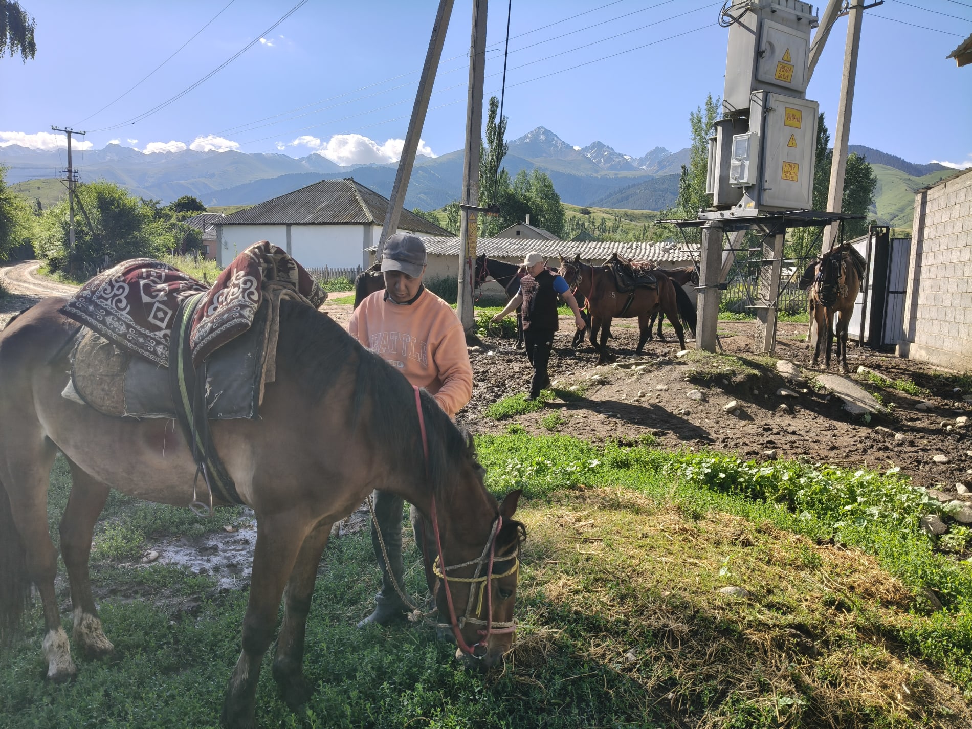Лошади и люди