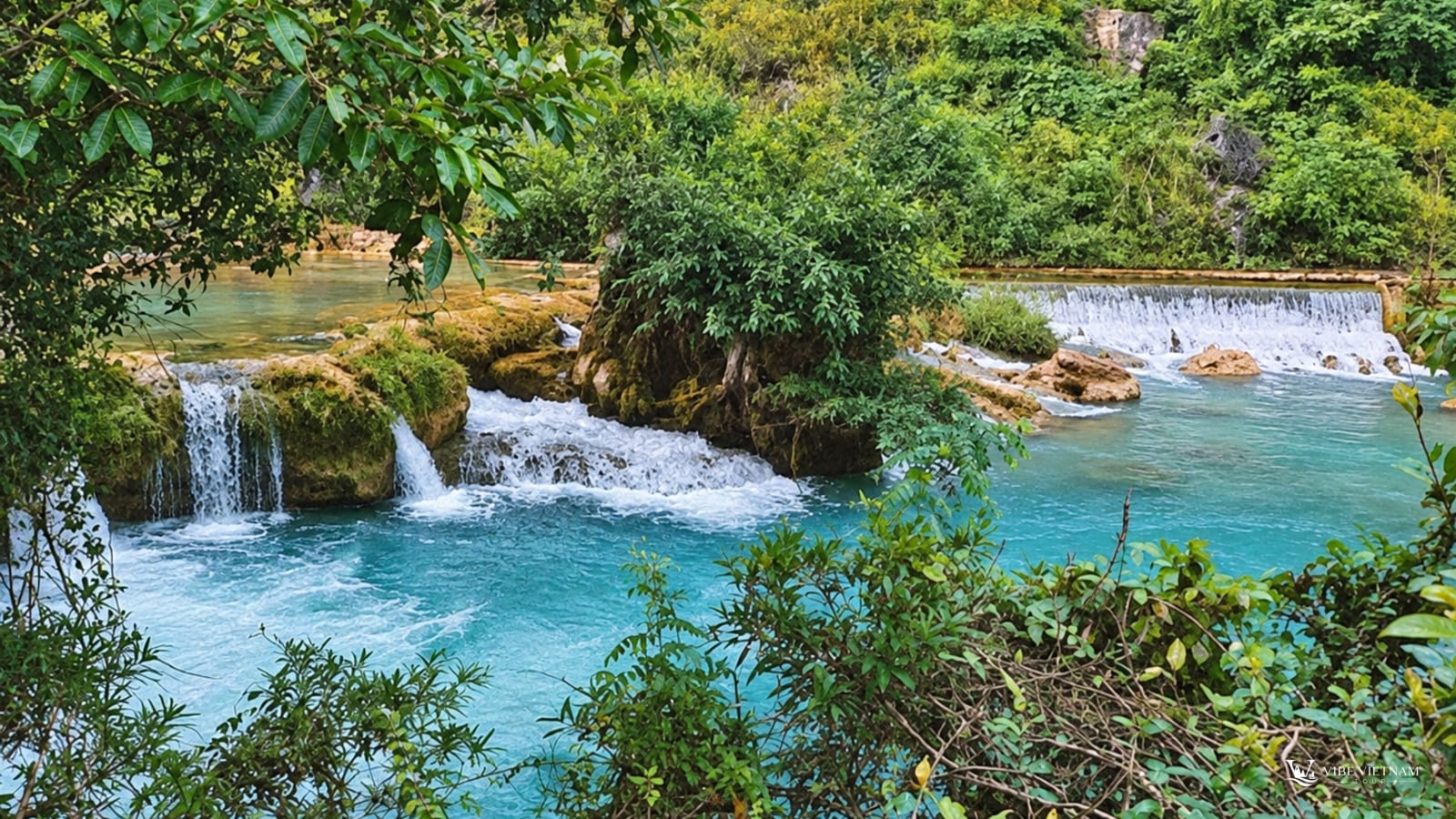 Suối nước xanh ngọc chảy qua ghềnh đá rêu phủ giữa rừng cây Cao Bằng