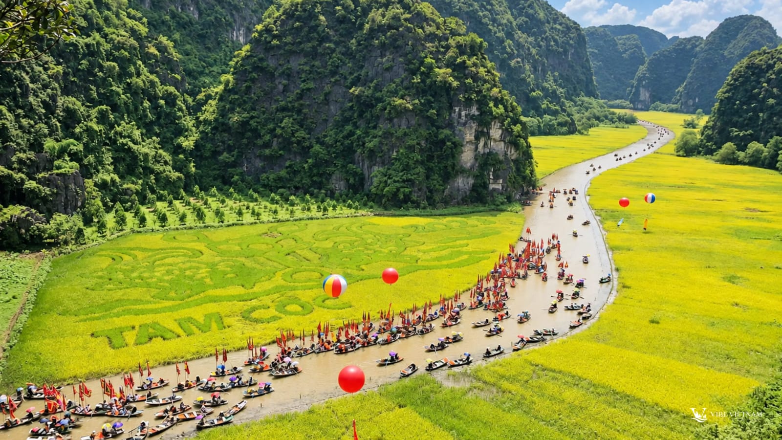 Thuyền nhỏ nối đuôi trên sông Ngô Đồng giữa đồng lúa Tam Cốc vàng rực