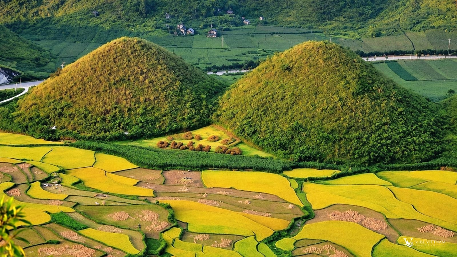 Đôi núi tròn Quản Bạ bên ruộng bậc thang lúa chín vàng ở Hà Giang