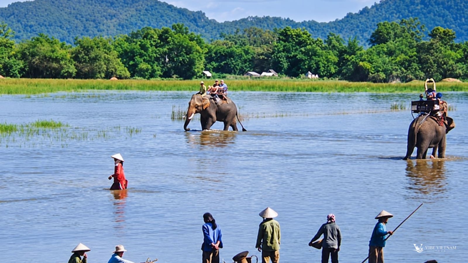 Du khách cưỡi voi lội nước trên hồ Lắk, thuyền độc mộc chở người