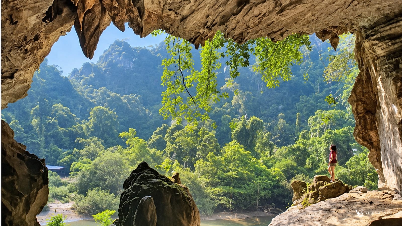 Du khách đứng trên mỏm đá trong hang ngắm thung lũng rừng xanh Phong Nha