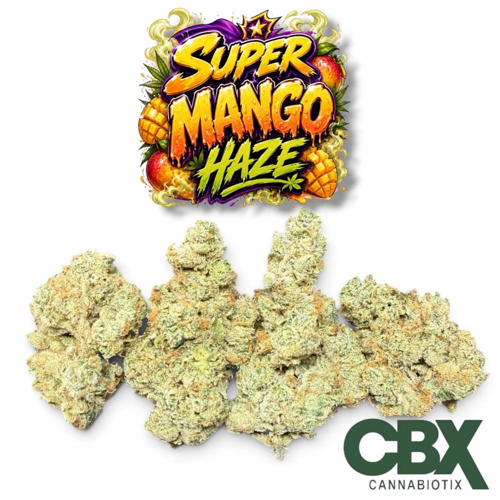 Buddhabrosl catalogue image labelled Super Mango Haze by CBX Farms
