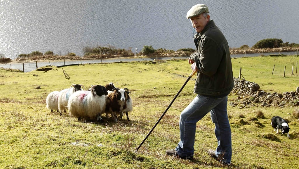 Feirmeoirí