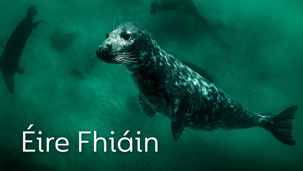 Éire Fhiáin
