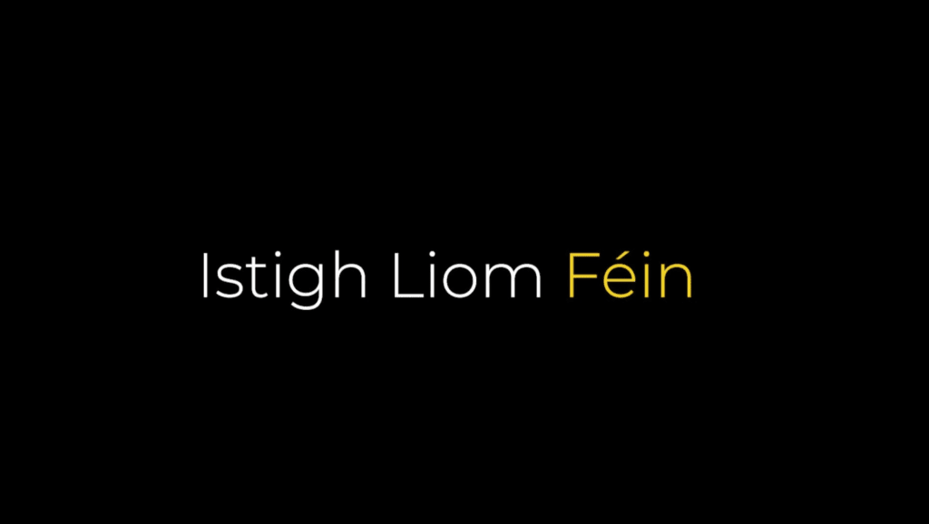 Istigh Liom Féin