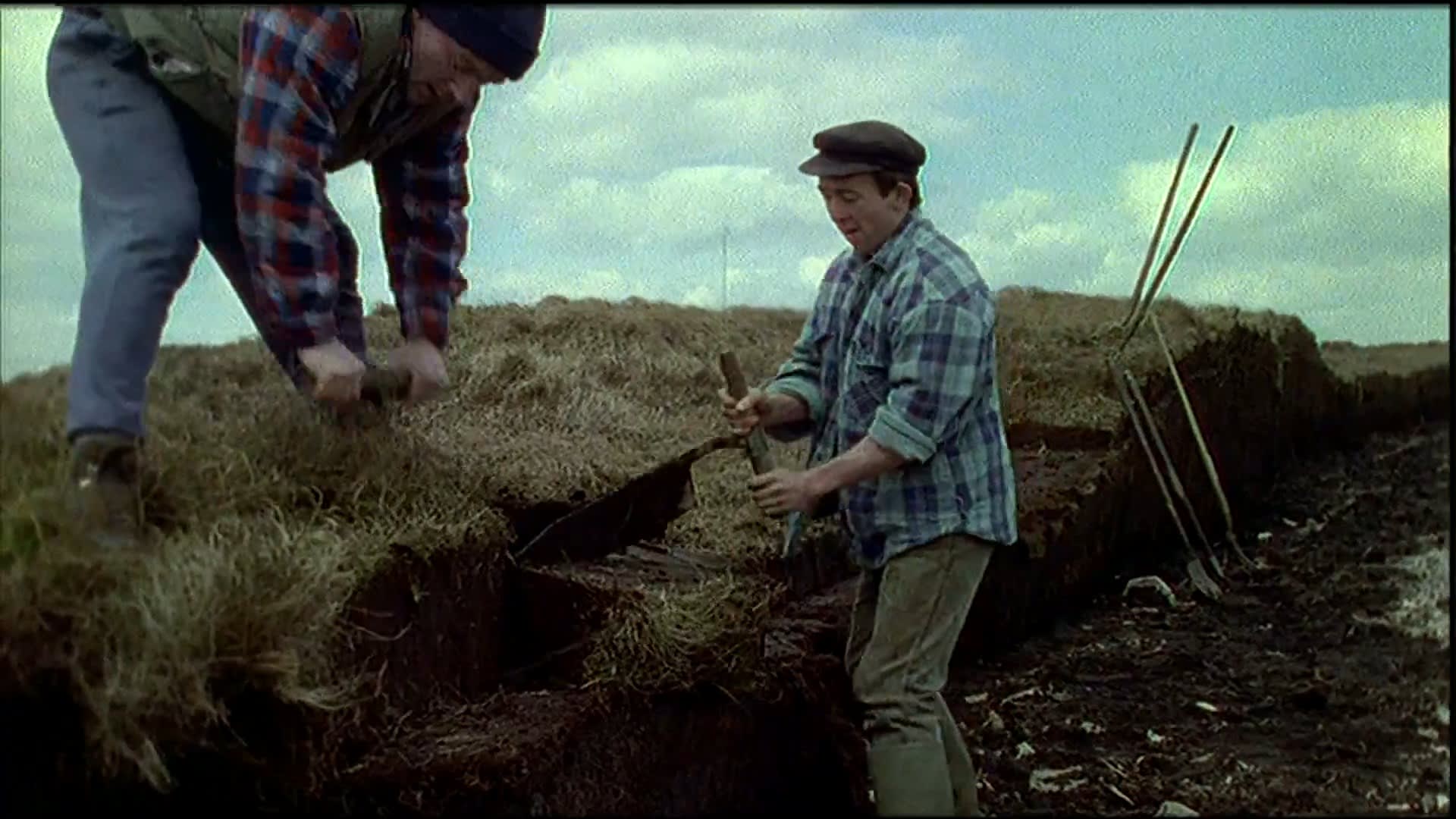 Ceol na Talún