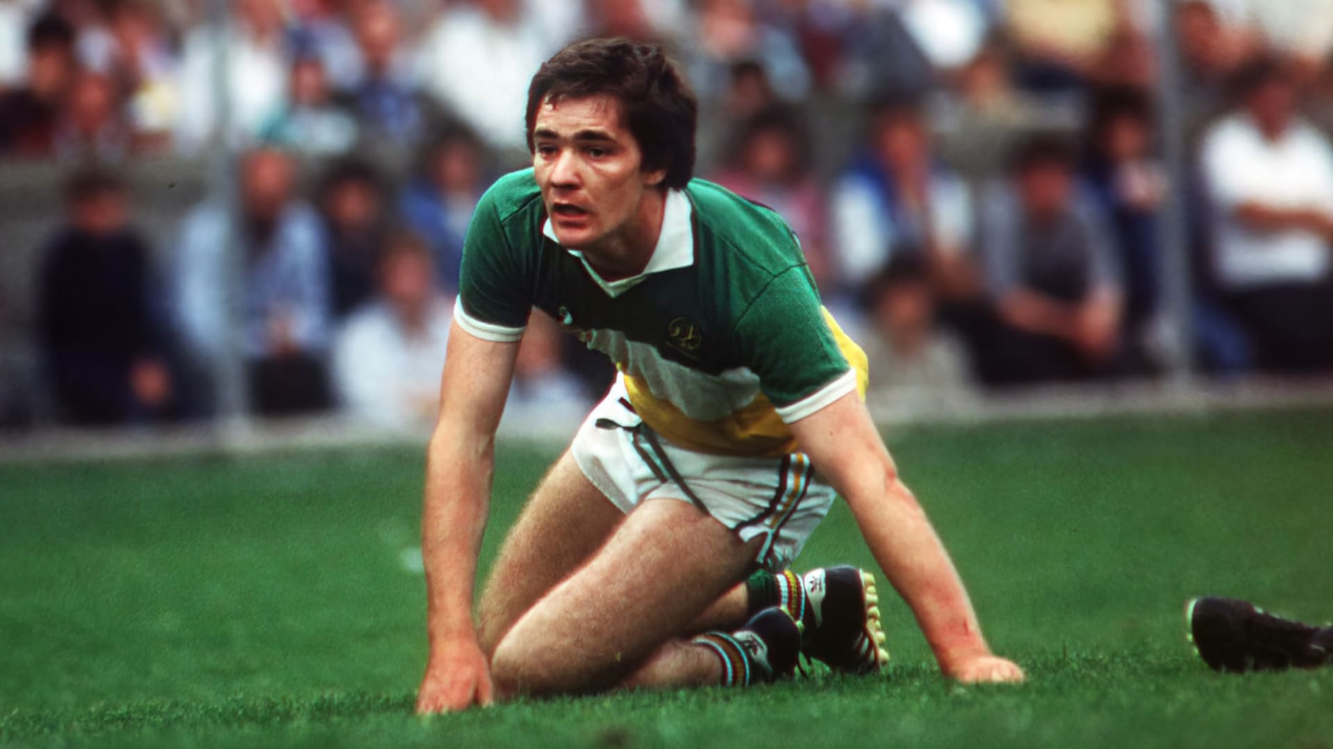 Laochra Gael