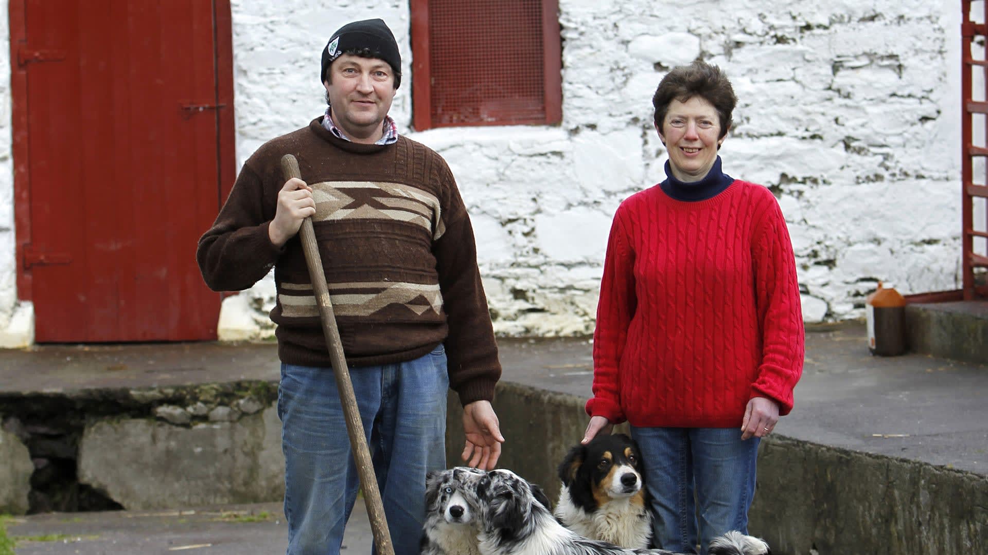 Feirmeoirí