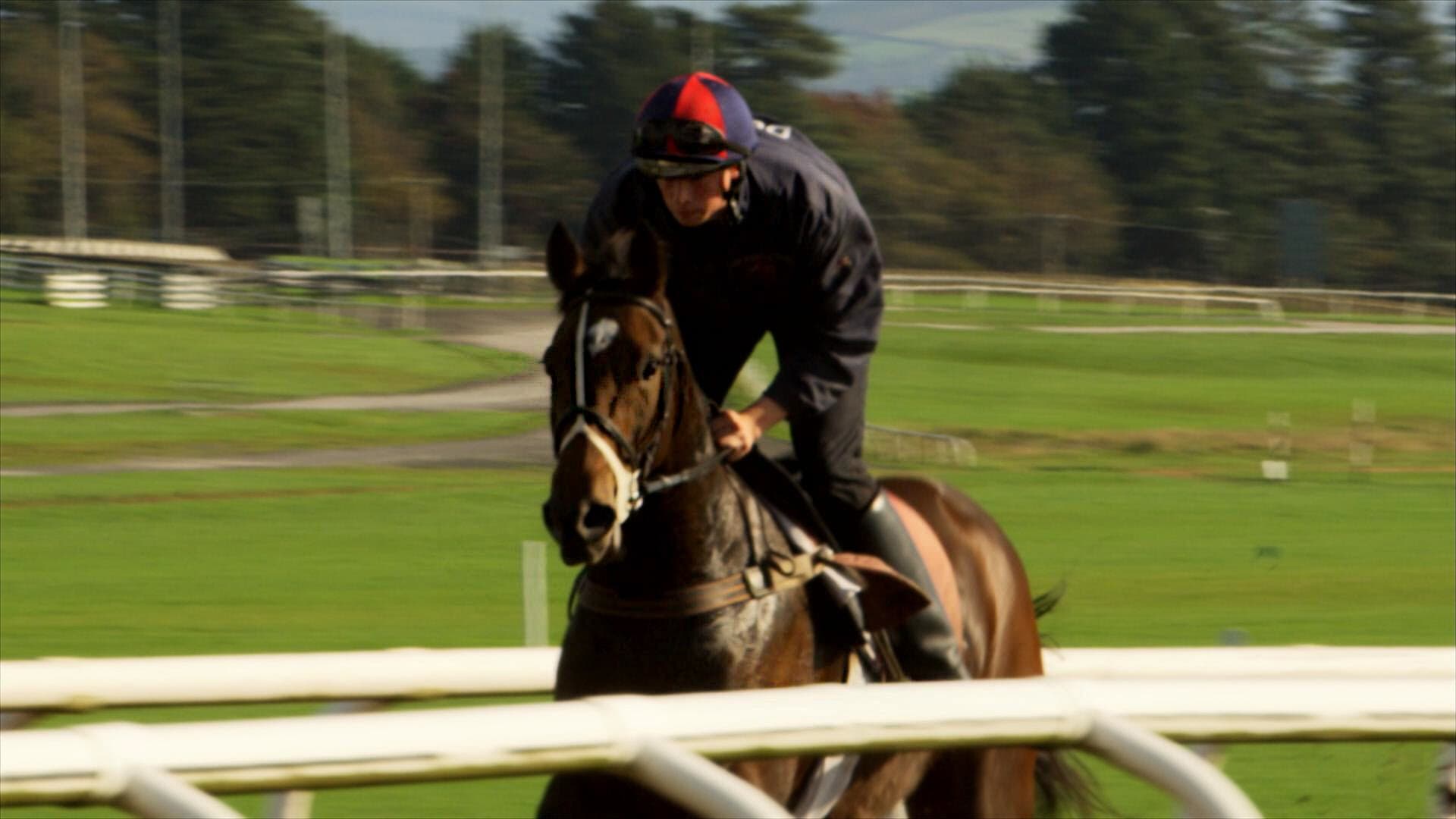 Jockey Eile