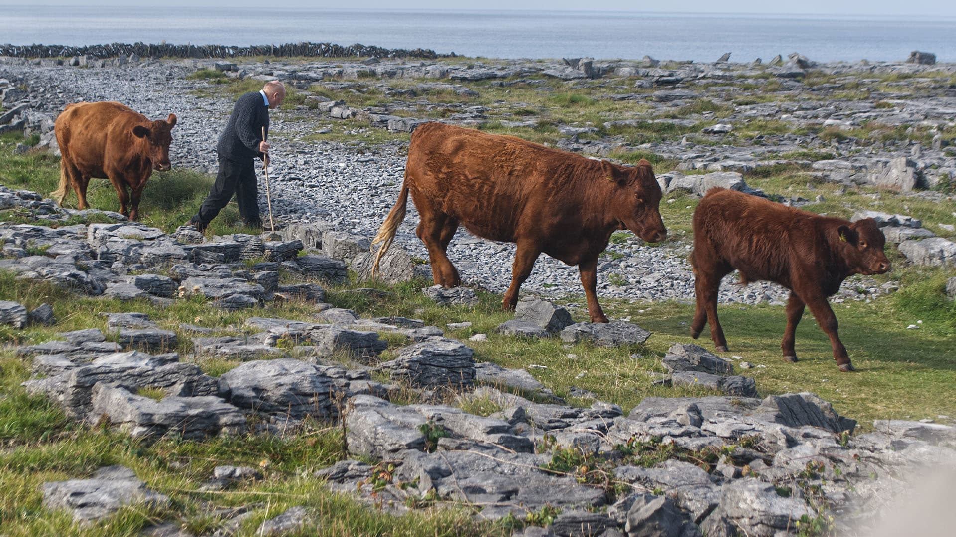 Caomhnóirí na Talún