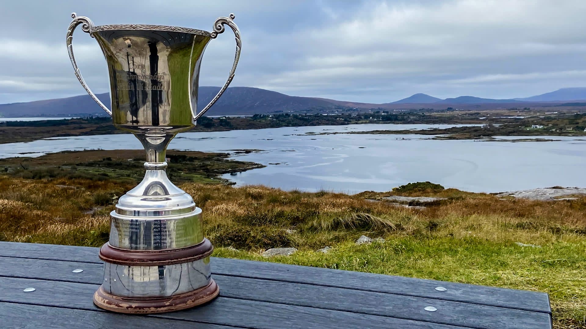 Oireachtas 2023