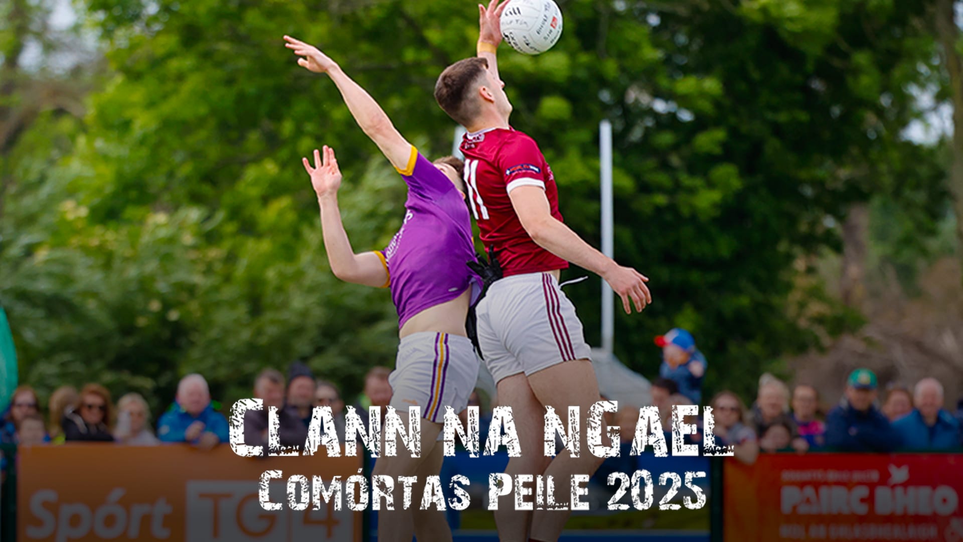 Clann na nGael