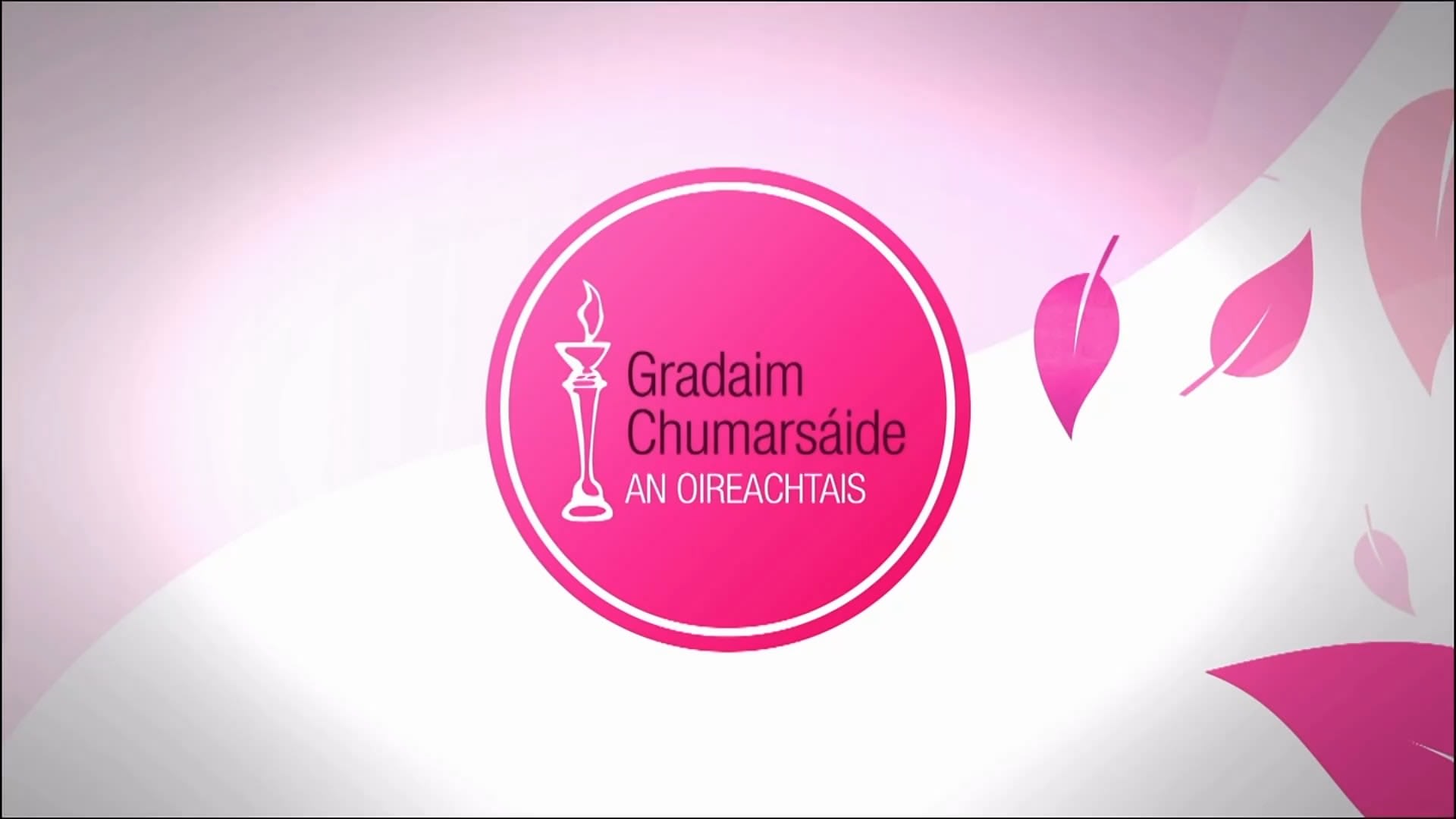 An tOireachtas