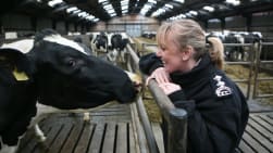 Ainmhí 999 (OS & TS)