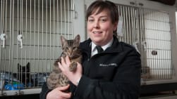 Ainmhí 999 (OS & TS)