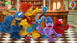 The Furchester Hotel