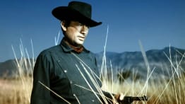 An Western:The Bravados (TS)