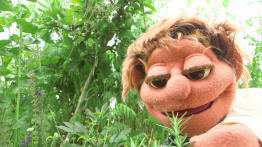 Bia Linn (TS)