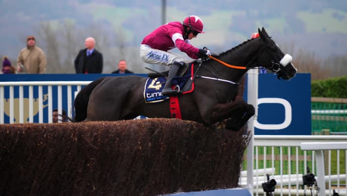 Gold Cup