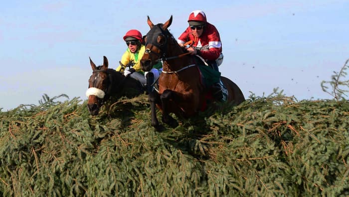 Grand National 2