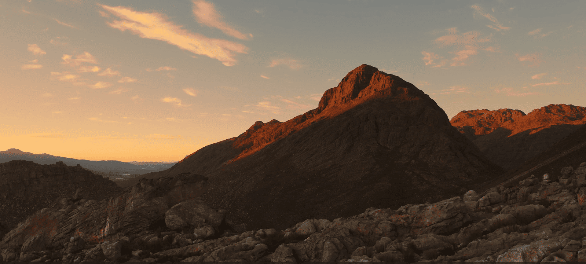 Altitude Wealth