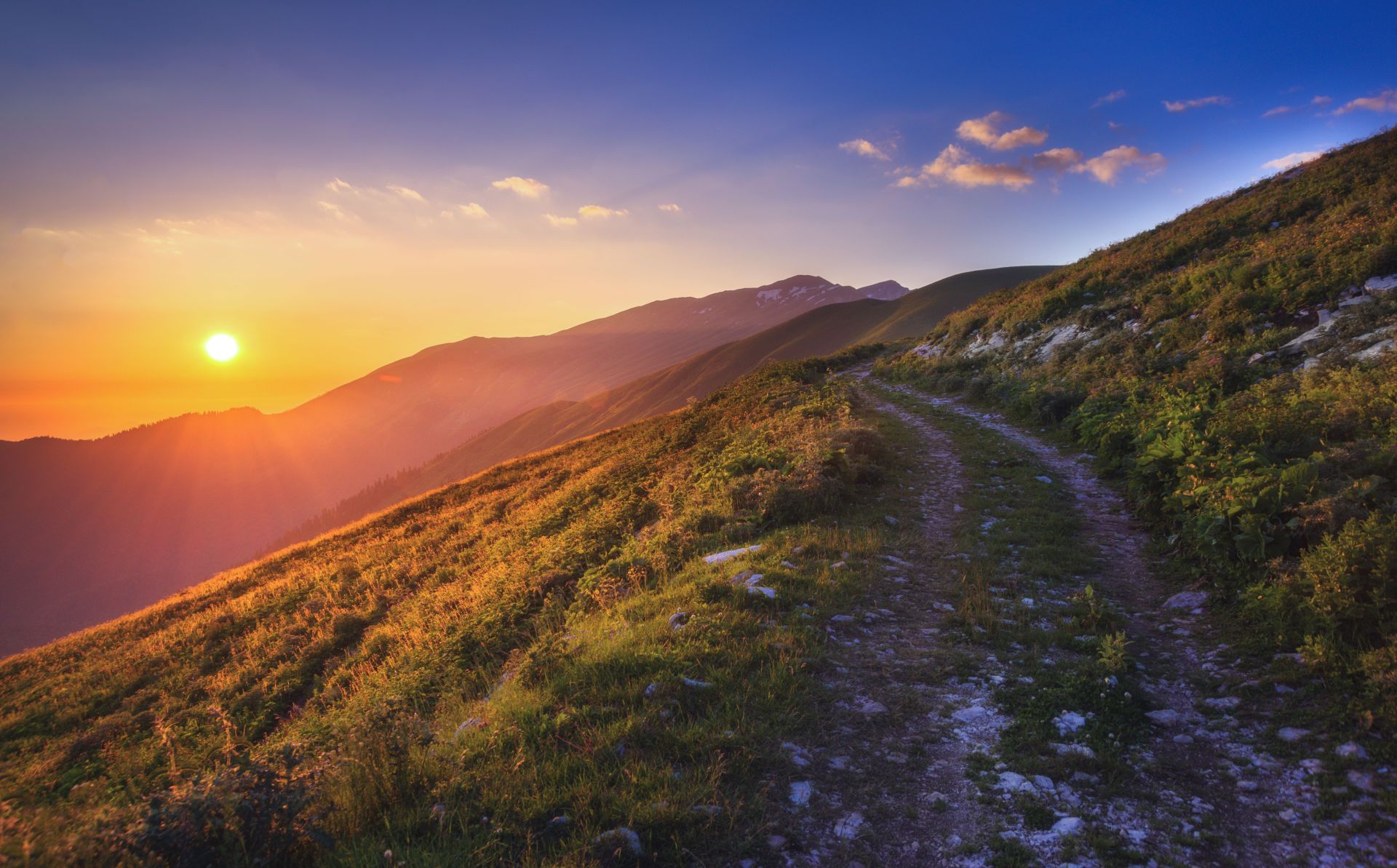 Careers at Altitude Wealth