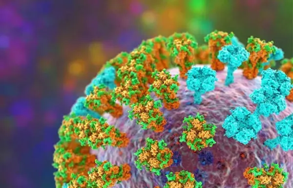 Visualisasi Virus H3N2
