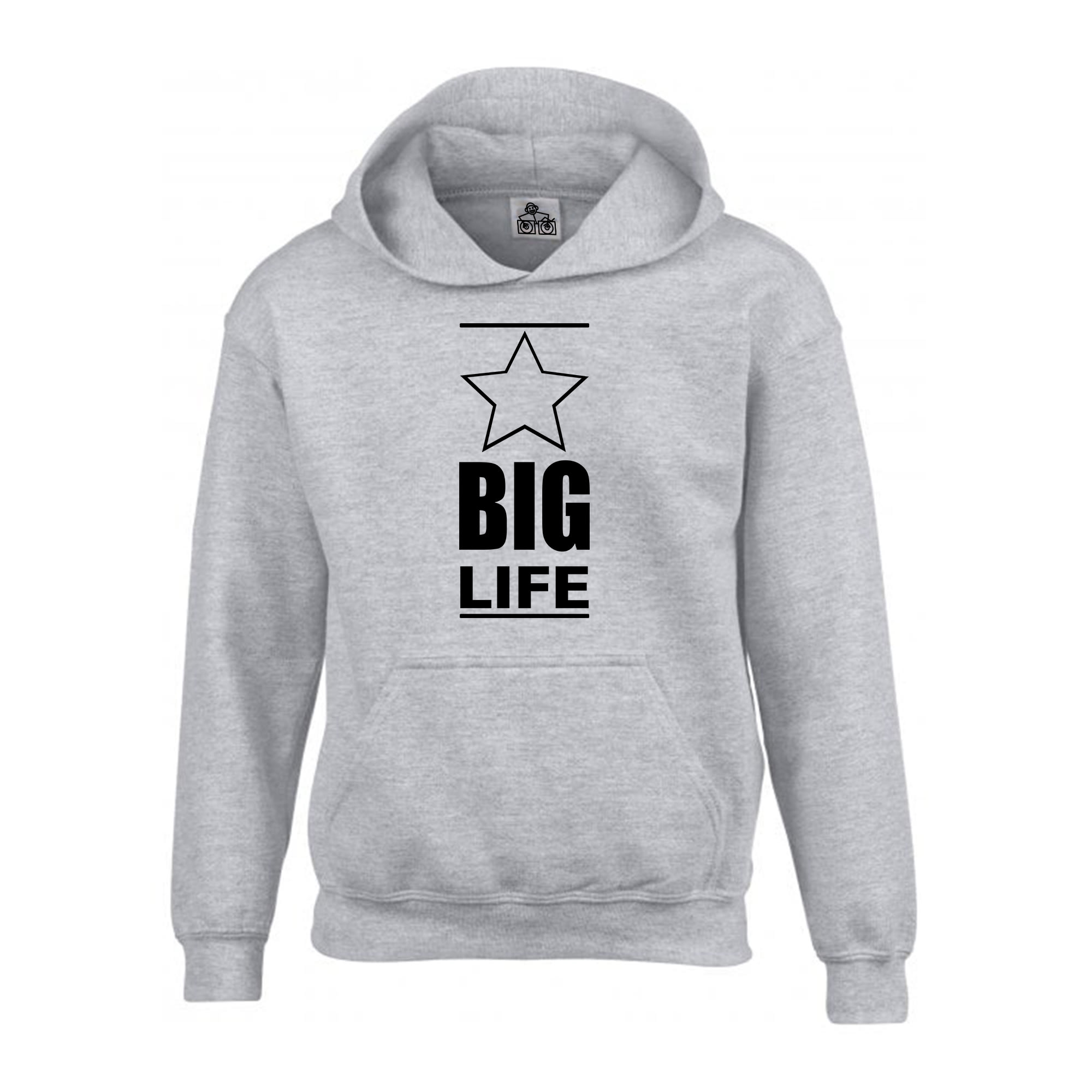 Big Life Records Hoodie - Image 2
