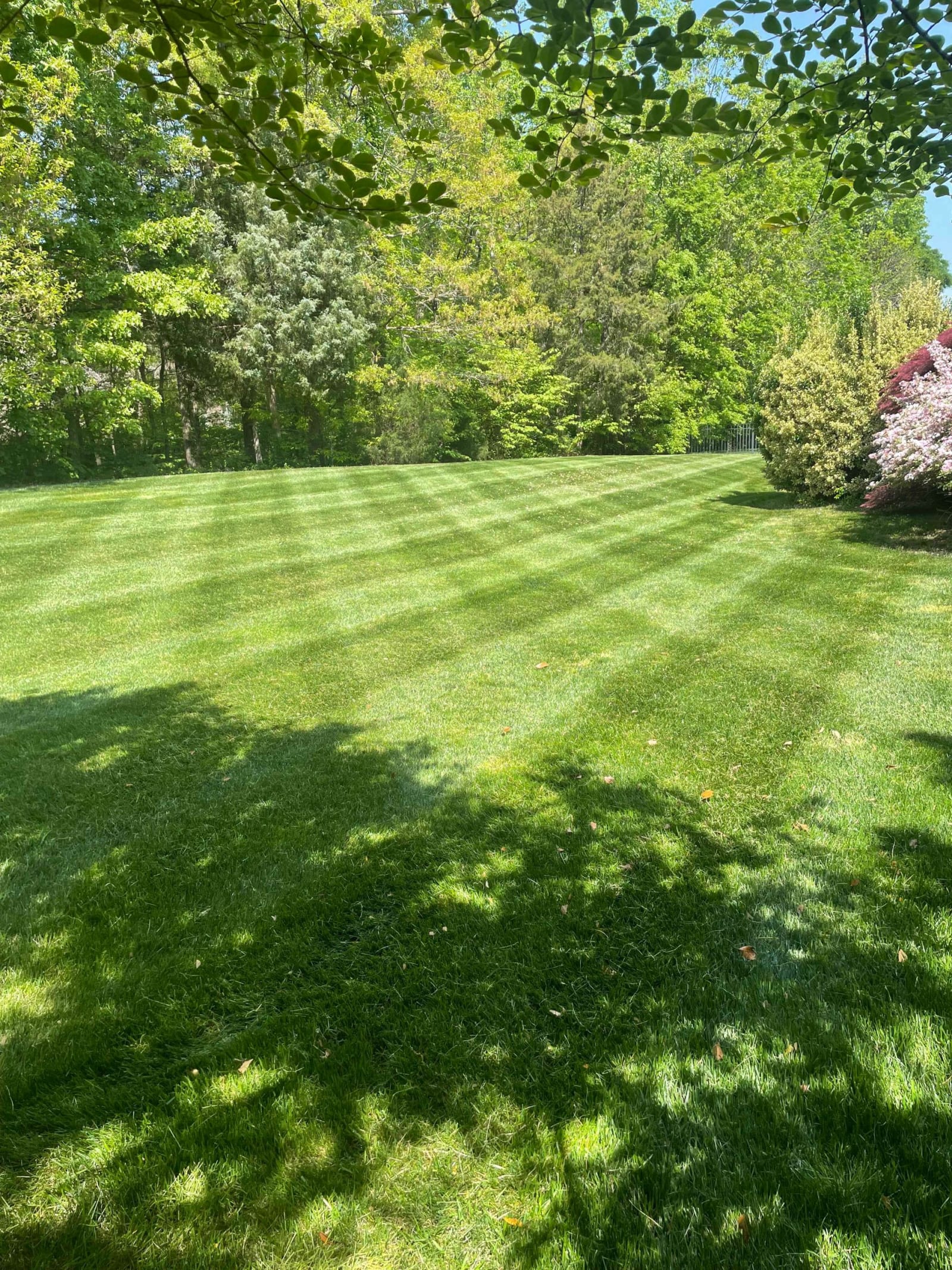 Lawn Maintenance Results