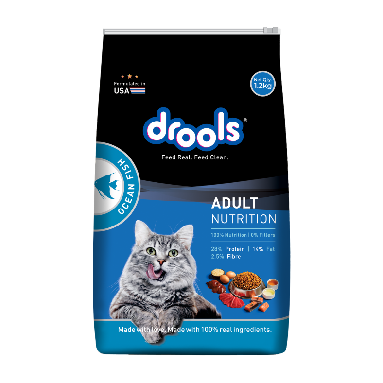 Drools Adult Ocean Fish Dry Cat Food