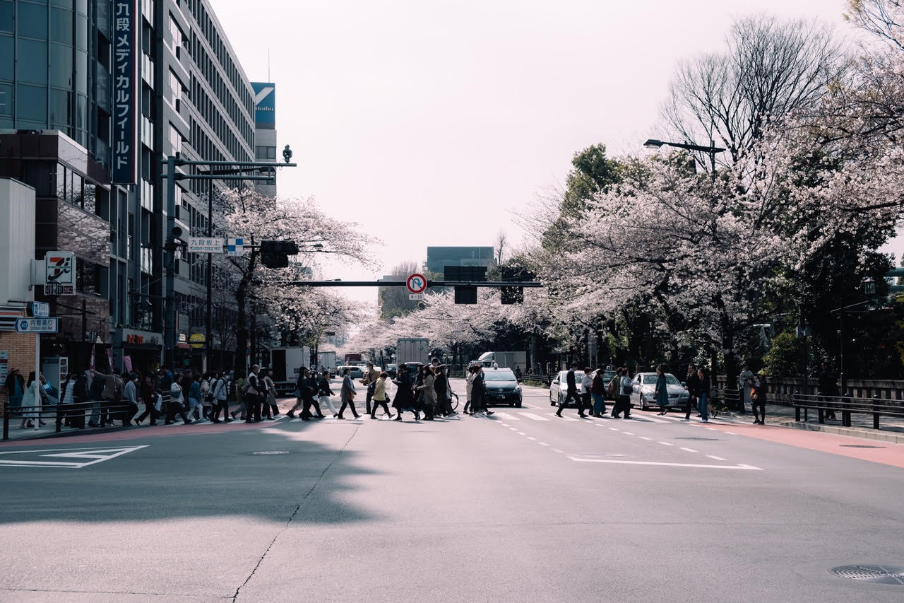 Shinjuku, Tokyo (JP)