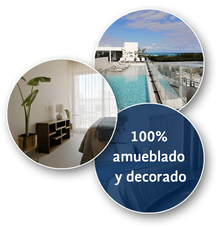 Contenido
