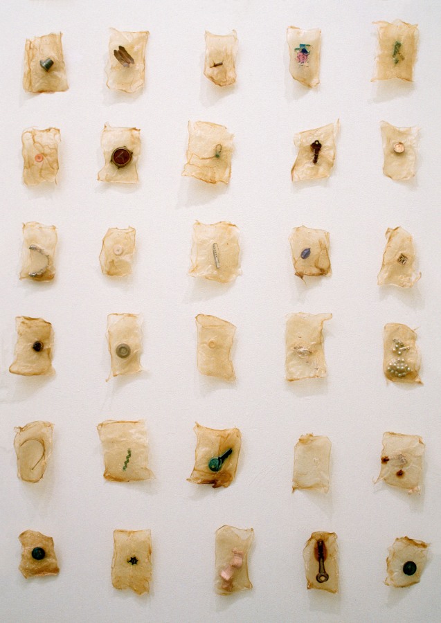 Lisa Kokin, Inventory (1997)