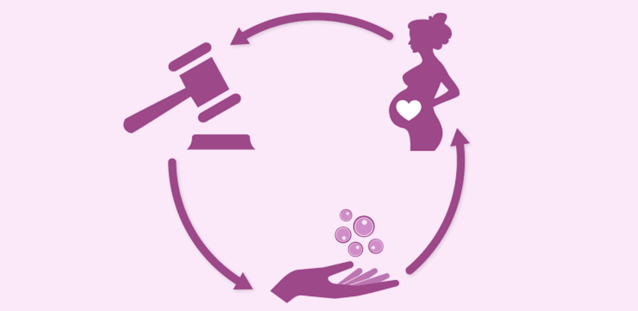 Inclusive Futures: Surrogacy, Single Women And Constitutional Dynamics ...