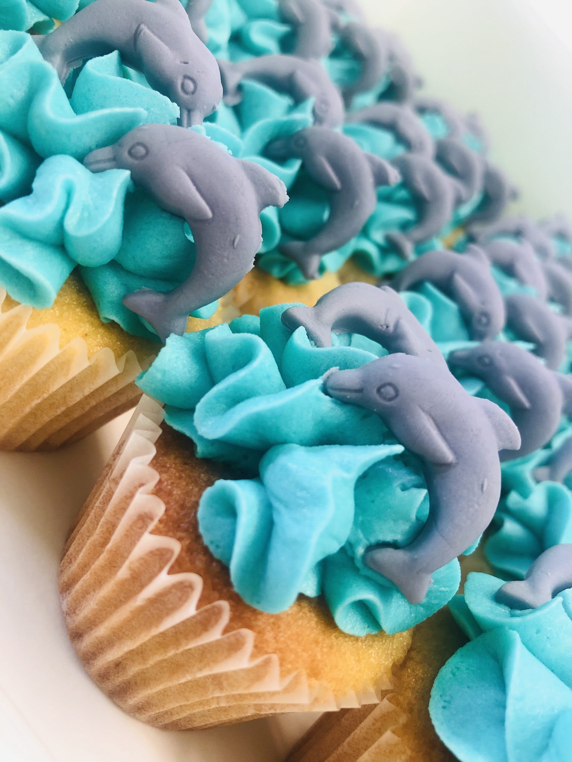 Dolphins Cupcakes Dolphins Cupcakes sydney