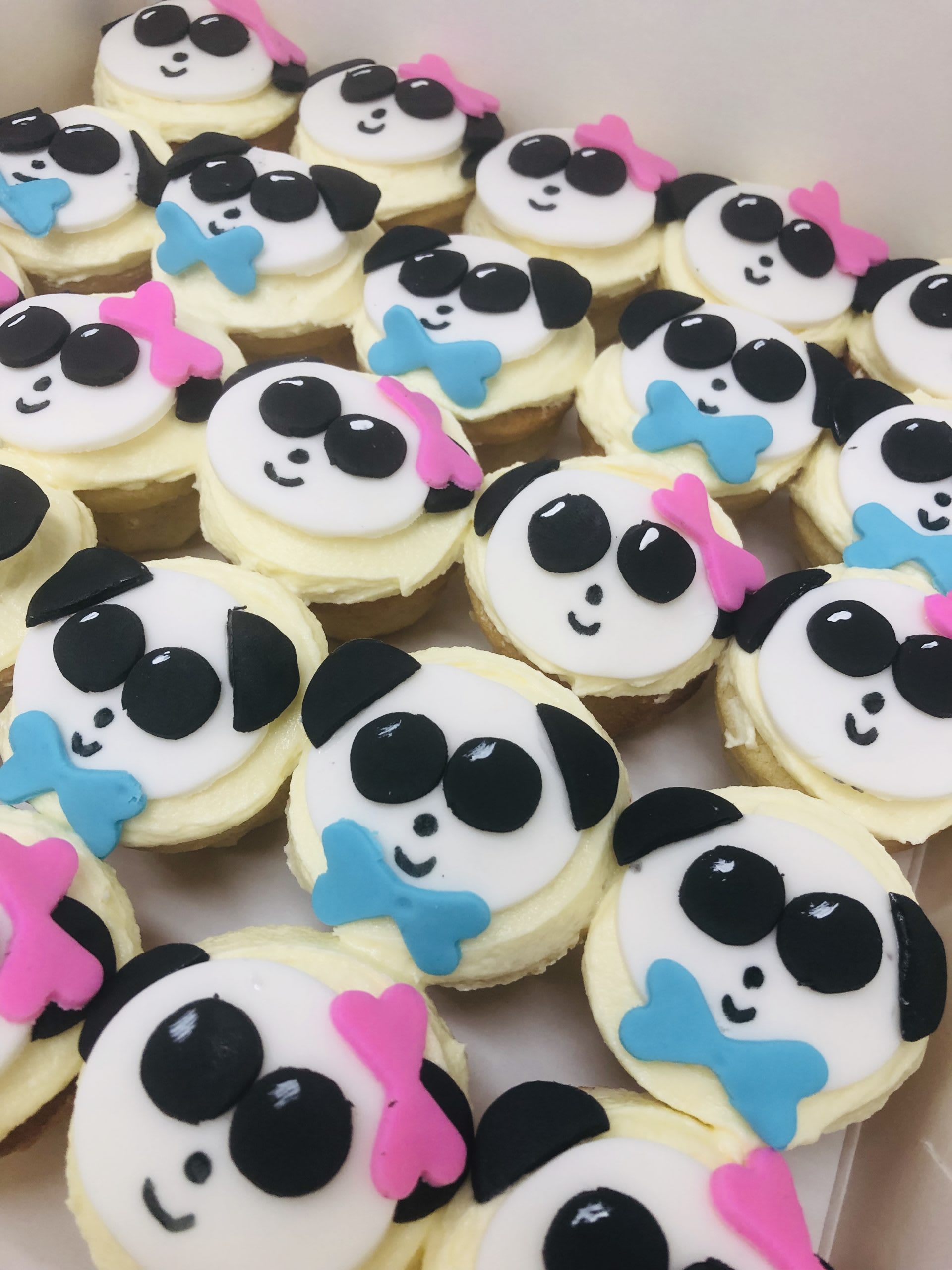 Panda Cupcakes Panda Cupcakes sydney