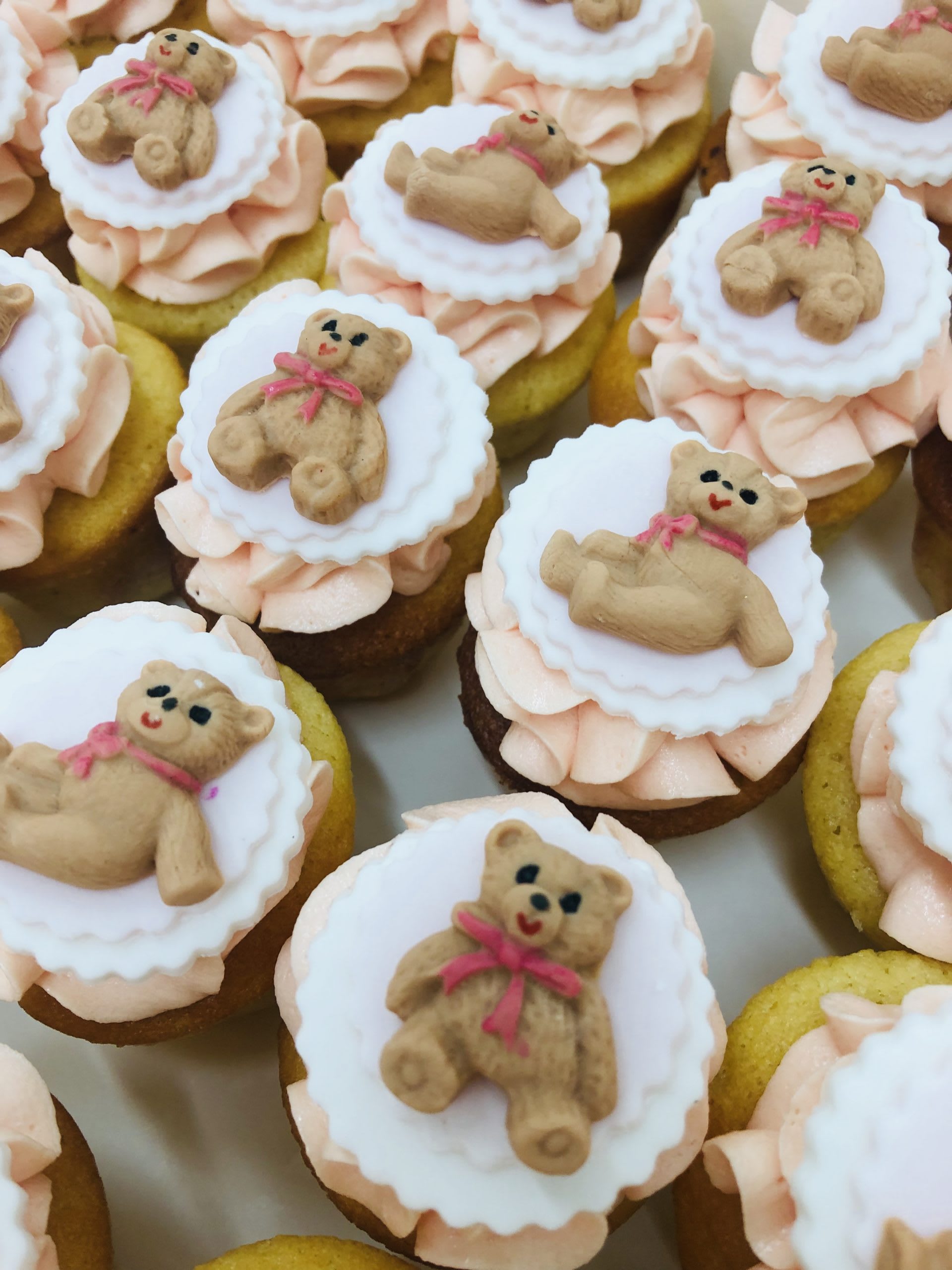 Teddy Bears Cupcakes Teddy Bears Cupcakes sydney