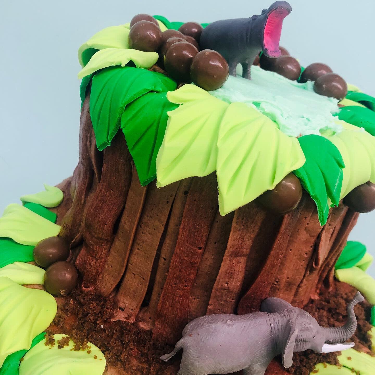 Jungle Cake Sydney - Custom Cakes | The Cupcake Princess