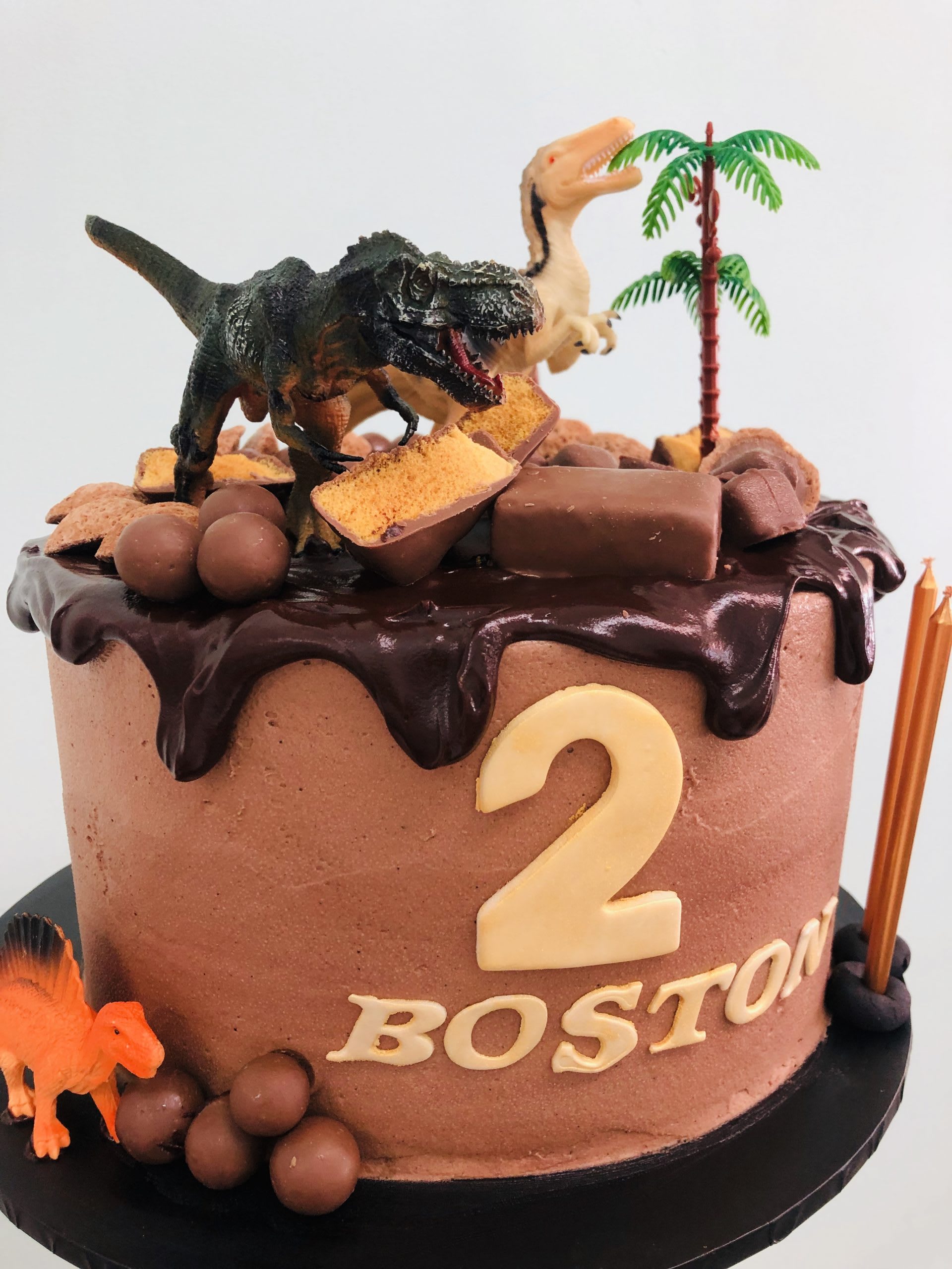 Dinosaur Choc Drip Cake Dinosaur Choc Drip Cake