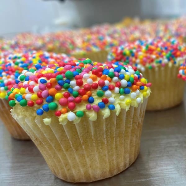 Sprinkle Cupcake