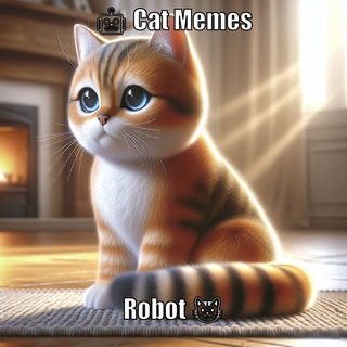 cat_memes_robot