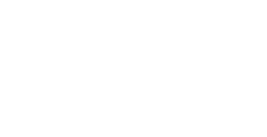 Logo for Nando's