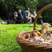 Foraging Day with Wild Lunch