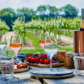 Tour & Picnic for Two at Wildshark Vineyard