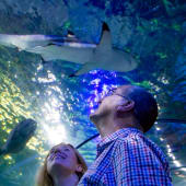 Entrance to SEA LIFE for Two